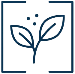 Plant leaves with dots icon.